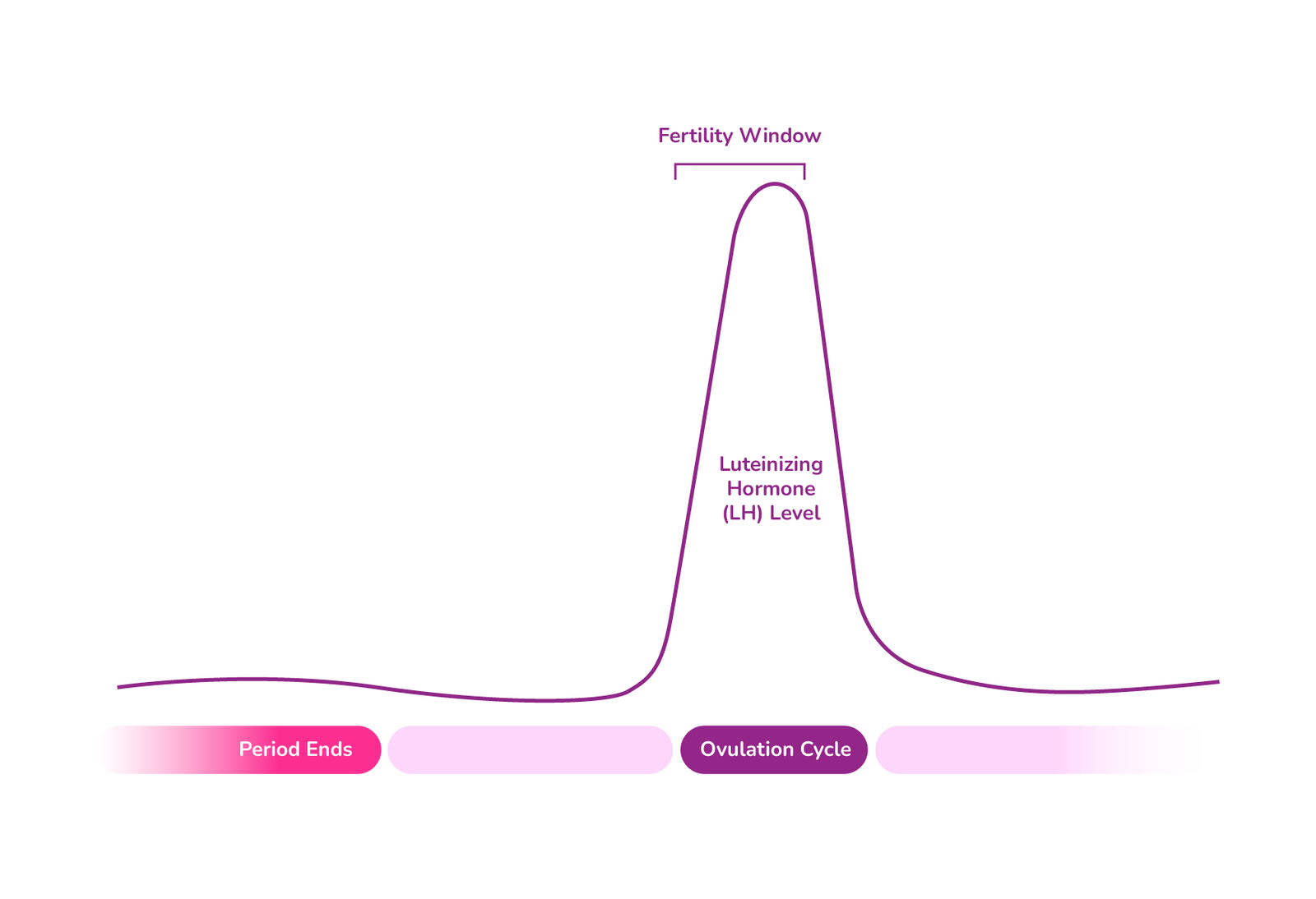 LH ovulation cycle chart